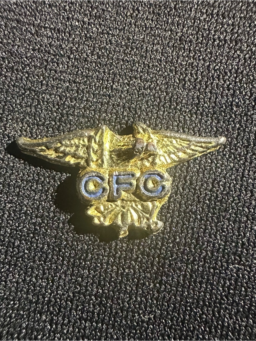 Vintage CFC Combined Federal Campaign Pin Gold Tone Eagle Blue Enamel Lapel Hat
